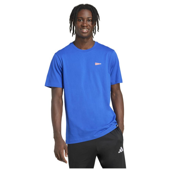 Adidas Ανδρική κοντομάνικη μπλούζα Pennant Trim Graphic Tee